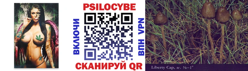 Псилоцибиновые грибы Cubensis Каргополь